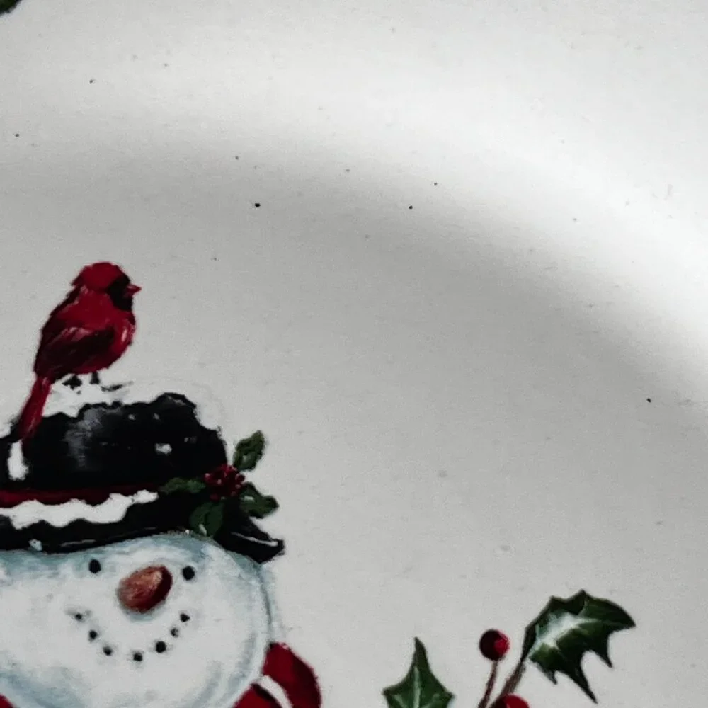 Set of 4 Pier 1 Winter Wonders Ironstone 9
